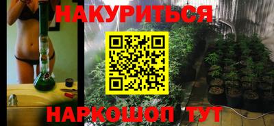шишки Краснодар